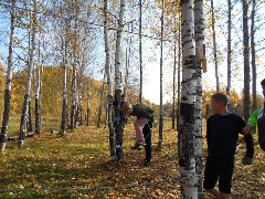 �����������