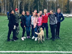 �����������