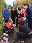 �����������