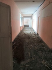 �����������