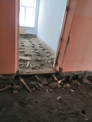 �����������