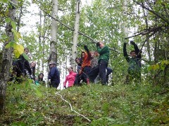 �����������