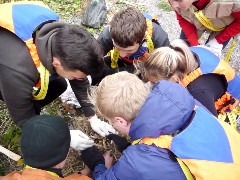 �����������